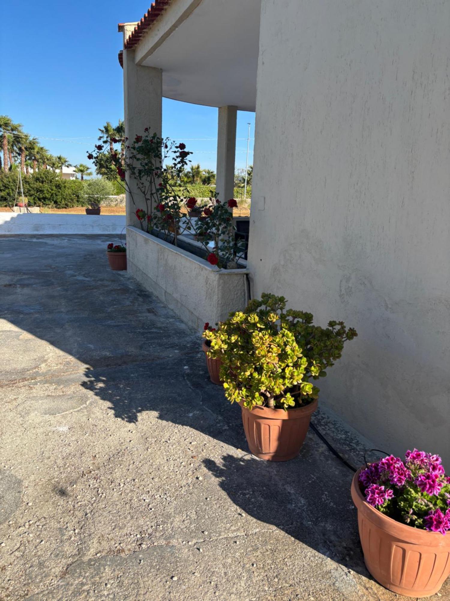 Lilly'S House Villa Torre Santa Sabina Exterior photo
